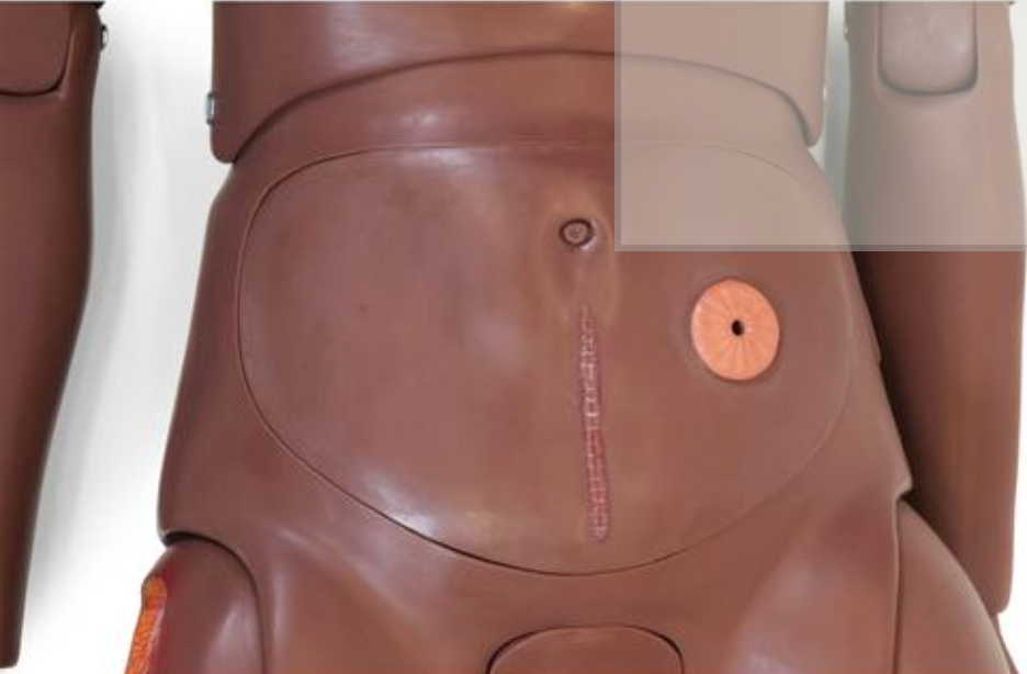 3B Scientific Pflegepuppe PRO dunkel