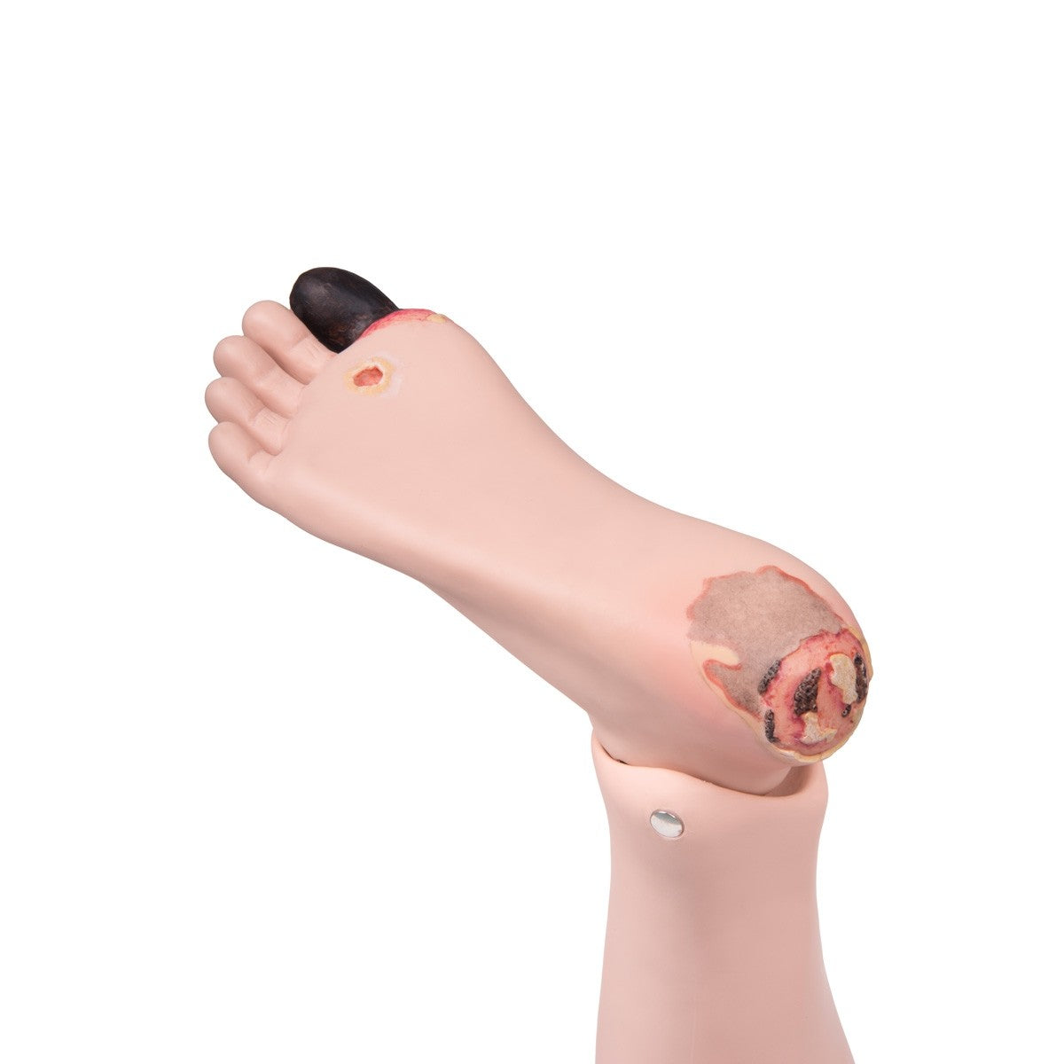 P10 Krankenpflegepuppe Pro von 3B Scientific