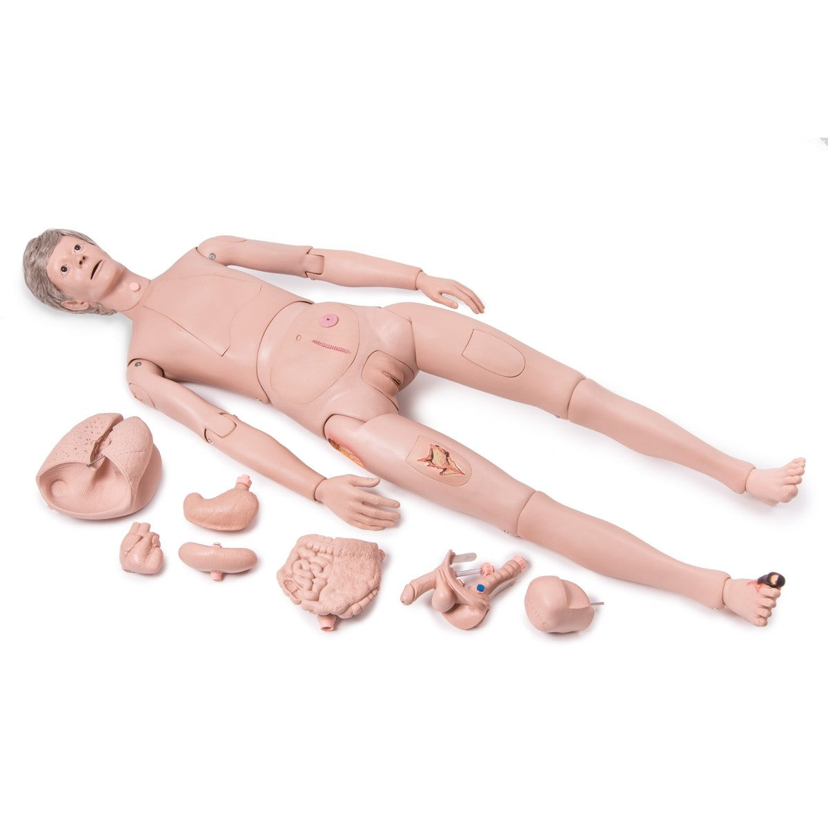 P10 Krankenpflegepuppe Pro von 3B Scientific